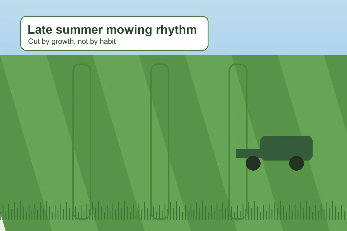 Illustration of a late summer lawn with mower stripes and longer shaded edges
