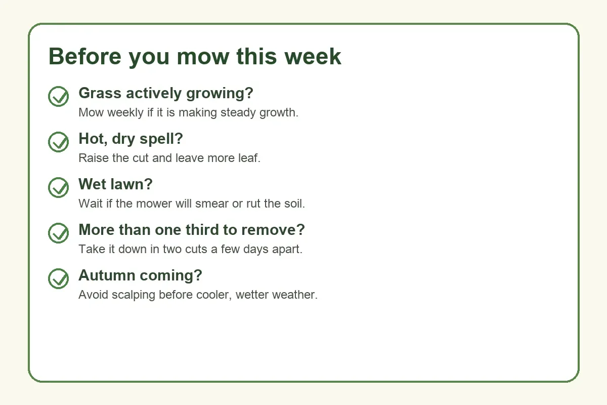 Checklist for deciding whether to mow a UK lawn this week