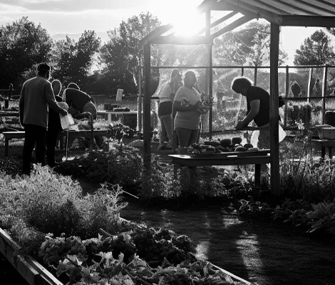 Community gardens