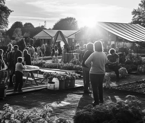 Community gardens