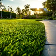Grass Cutting