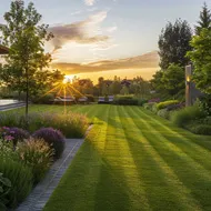 Lawn Care