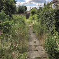 Weeding/Clearance